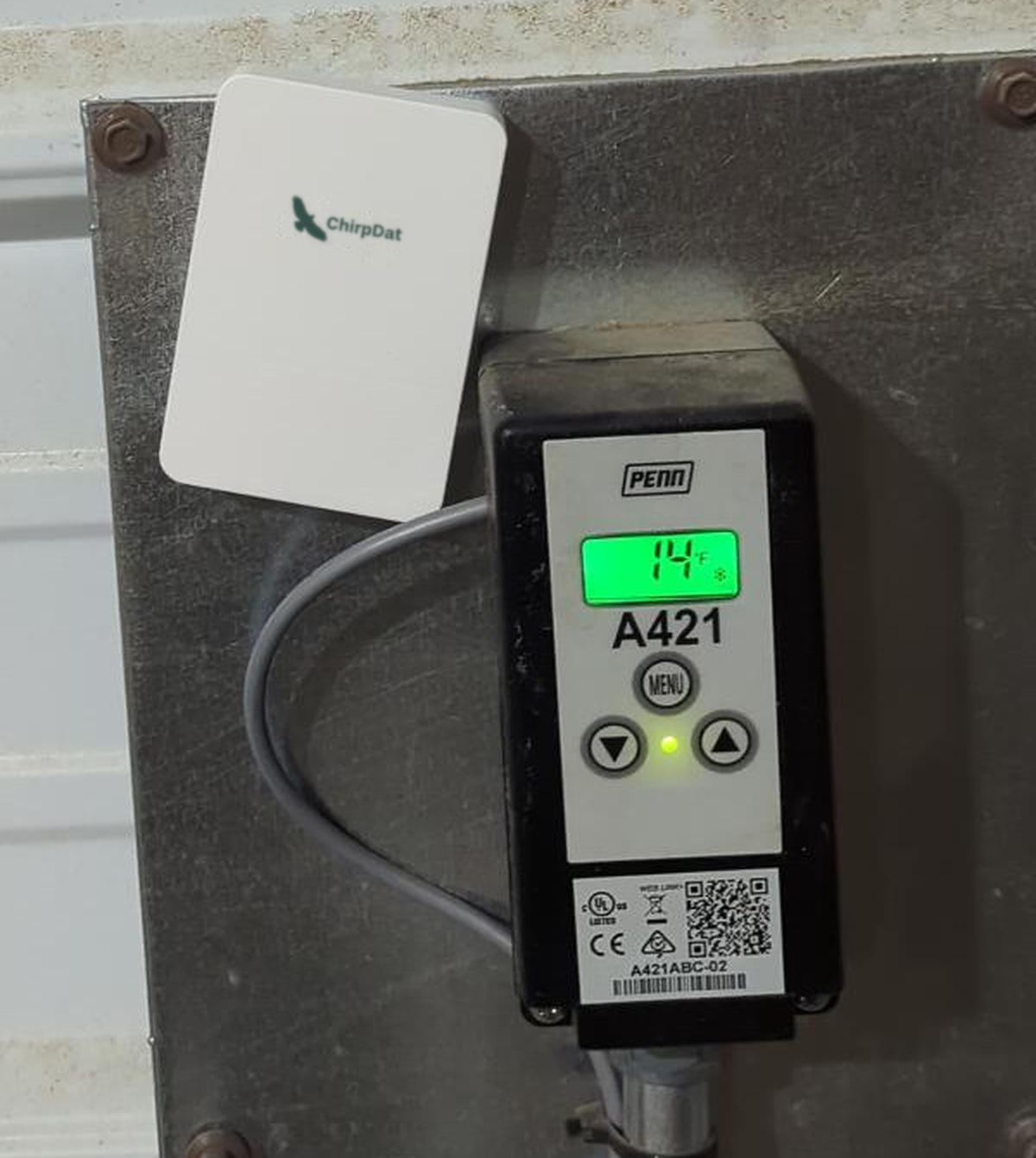 A ChirpDat sensor mounted on a steel plate in a customer freezer: a flat, blank white panel with no cable, conduit, screen or buttons. Beside it the plant's own wall-mounted temperature controller reads 14 degrees Fahrenheit, with its probe lead looping away below.